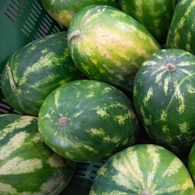 DSC_7611