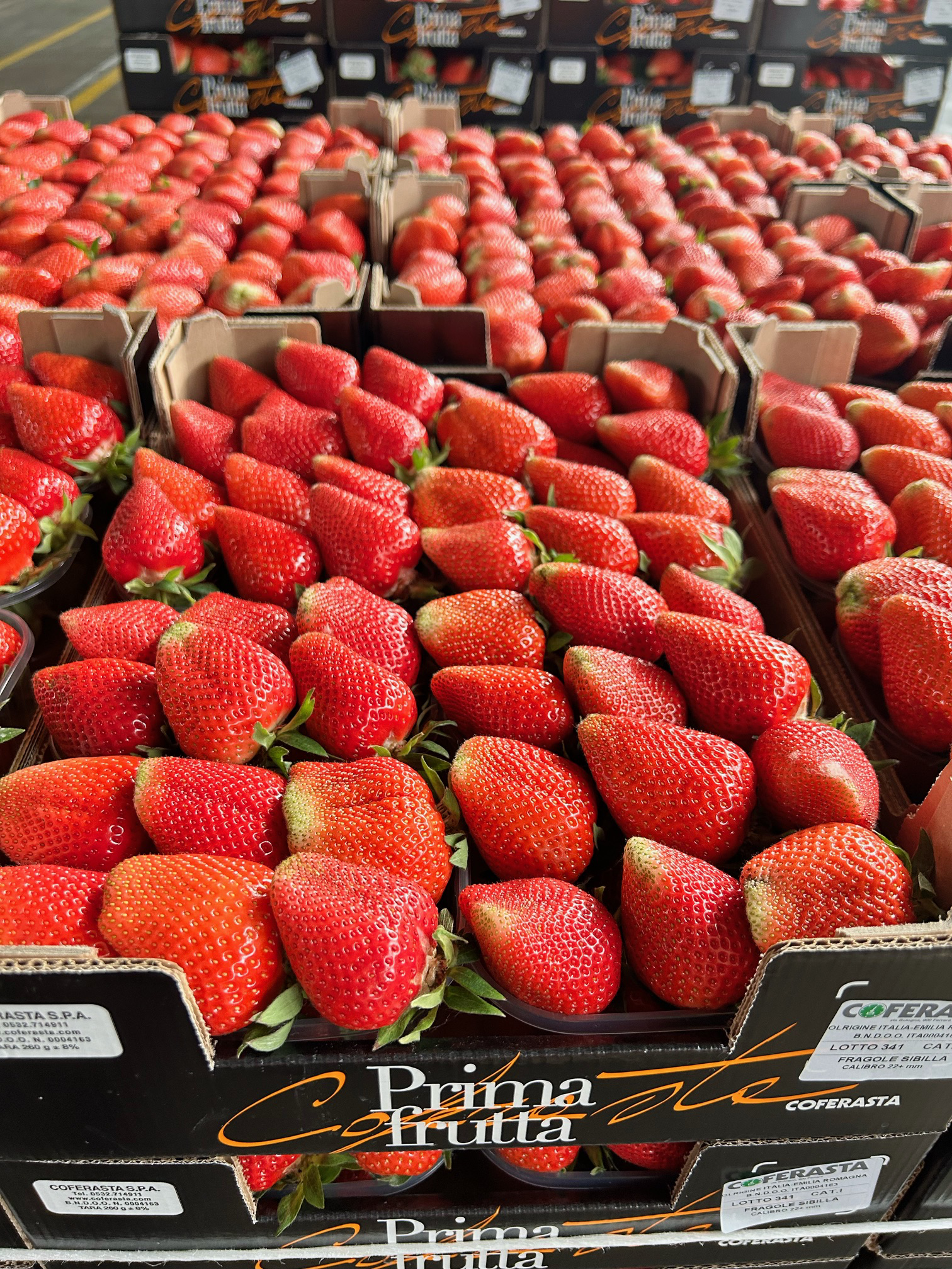 prima-frutta-fragole