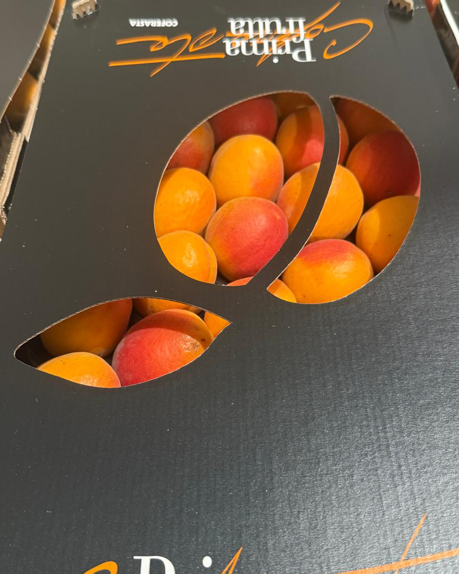 primafrutta-30x50x9-albicocche