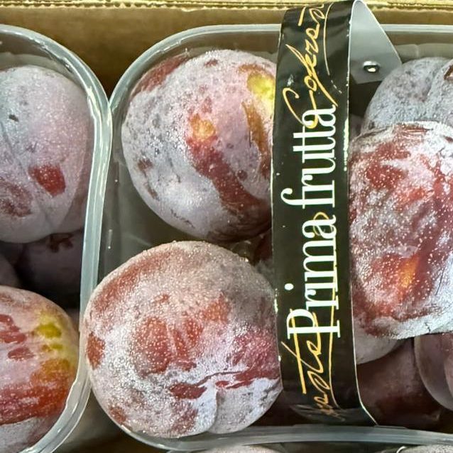 susine cestino primafrutta plastica