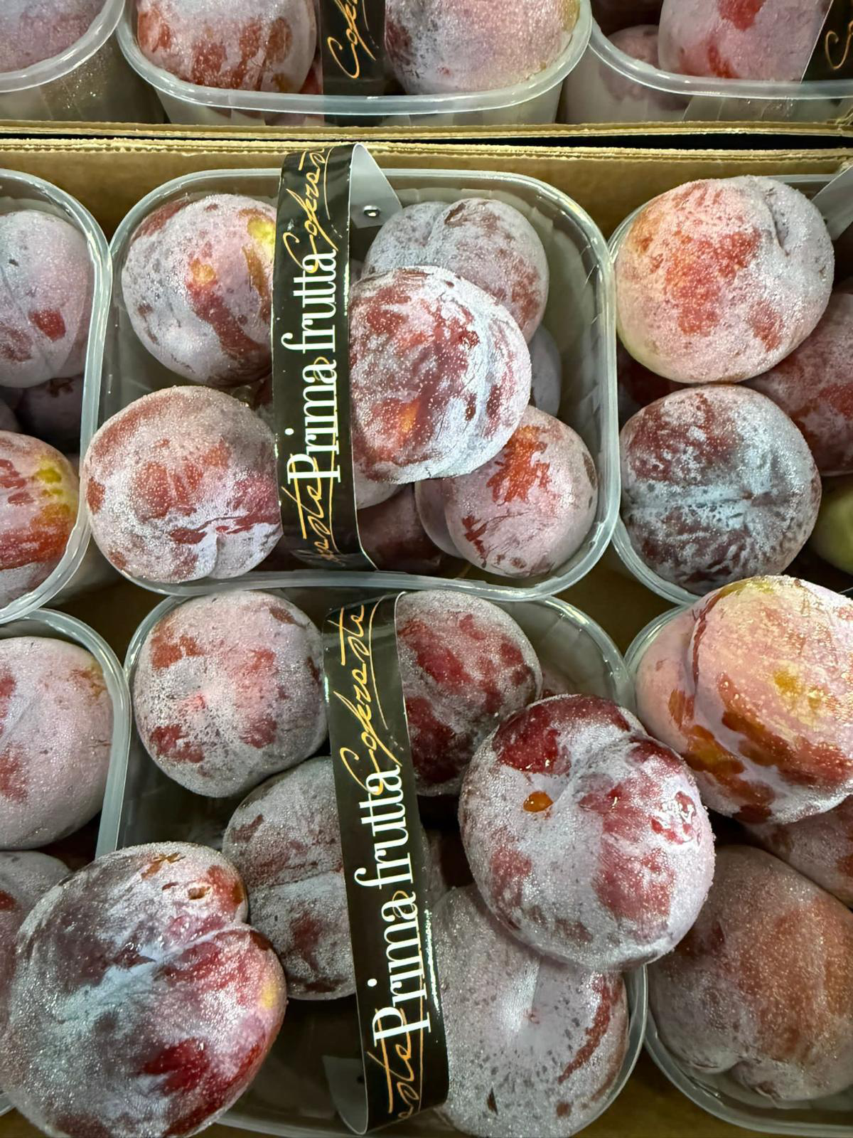 susine-cestino-primafrutta-plastica