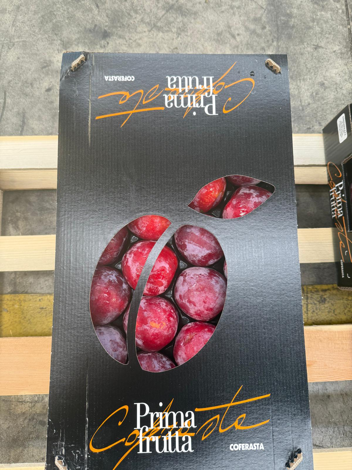 susine-primafrutta-+-coperchio