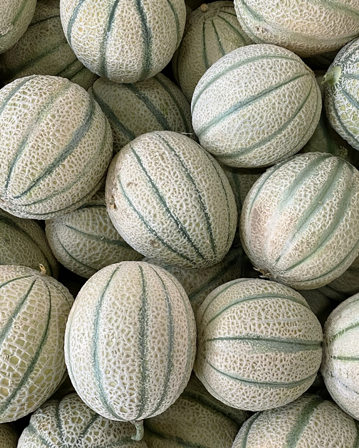 meloni